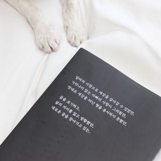 가을봉숙 정말잘지내나요사실난울고있는데 — 5점을 준 리뷰어가 2023년 2월 올린 사용 사진