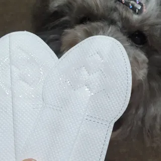 코보콩 에어슈즈 강아지 일회용 신발 소용량 패키지 20매 초경량  미끄럼방지 실내외 겸용 — 4.5점을 준 리뷰어가 2022년 2월 올린 사용 사진