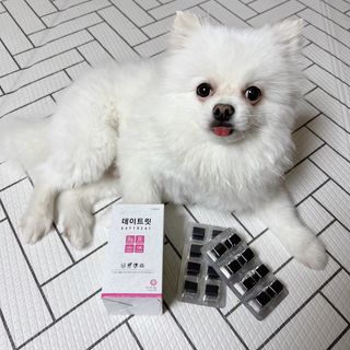 오랑이님이 올린 리뷰 사진 2