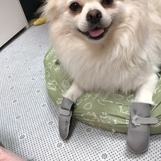 도모아빠님이 올린 리뷰 사진 3