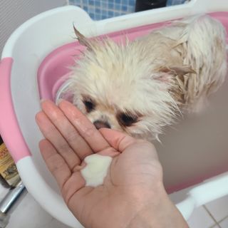 유화님이 올린 리뷰 사진 2