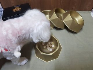 두부님이 올린 리뷰 사진 2
