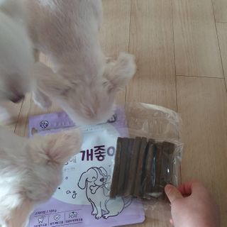 My Pet Care 천연단백질 치아건강에 개좋아 — 5점을 준 리뷰어가 2021년 2월 올린 사용 사진