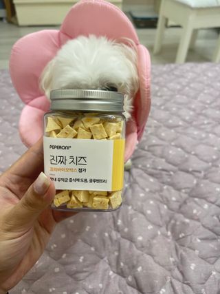라임님이 올린 리뷰 사진 2
