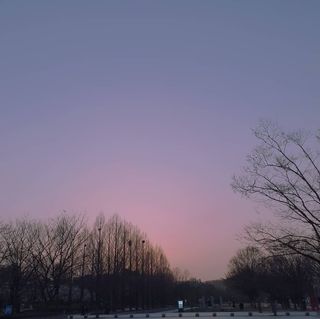 JAYDEN님이 올린 리뷰 사진 2