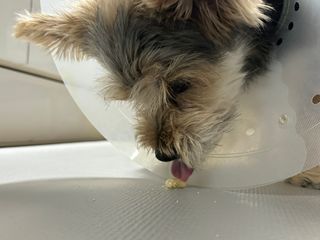 Wishwis0s님이 올린 리뷰 사진 4