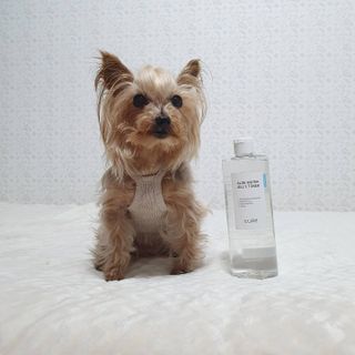 솜희님이 올린 리뷰 사진 3