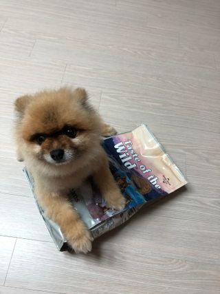 쭈야님이 올린 리뷰 사진 4