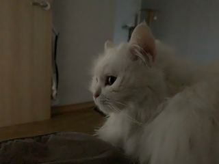 례진님이 올린 리뷰 사진 3