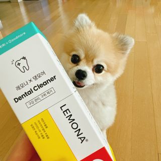 프리[경남제약 레모나x댕모어]  강아지 고양이 구취제거 충치 예방 덴탈클리너 120ml — 5점을 준 리뷰어가 2024년 7월 올린 사용 사진