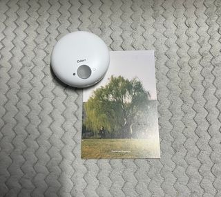 임바벌레님이 올린 리뷰 사진 3