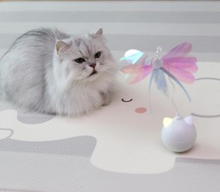 sunny님이 올린 리뷰 사진 3