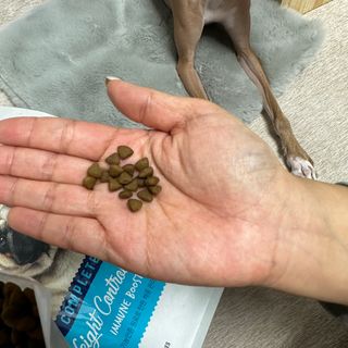 JeonEunju님이 올린 리뷰 사진 4