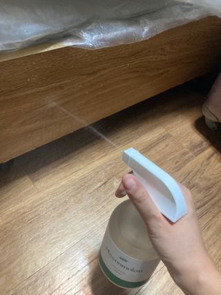 올라잍 편목수 피톤치드 스프레이 — 4.5점을 준 리뷰어가 2023년 2월 올린 사용 사진