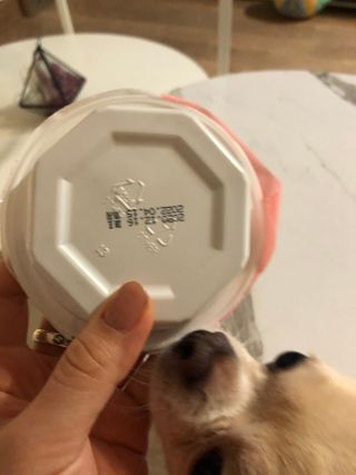 hoddong님이 올린 리뷰 사진 3