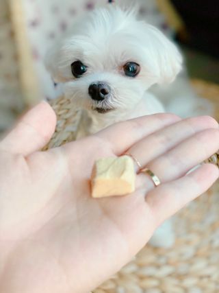 부르르펫 야미트릿 틸라피아 60g — 4.5점을 준 리뷰어가 2021년 10월 올린 사용 사진