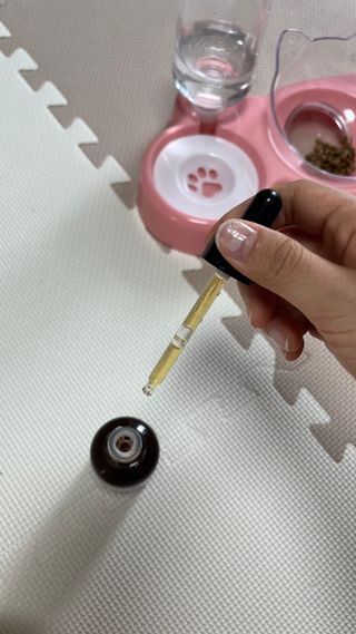 제리님이 올린 리뷰 사진 2