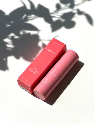 스킨큐어 산다화 카멜리아 안티 링클 멀티밤 — 5점을 준 리뷰어가 2022년 4월 올린 사용 사진