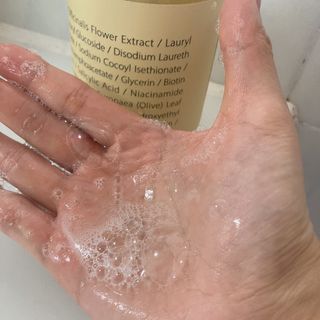 빅그린 안티 헤어로스 탈모 카렌듈라 바이옴 샴푸 500ml (지성두피용) — 4점을 준 리뷰어가 2022년 8월 올린 사용 사진