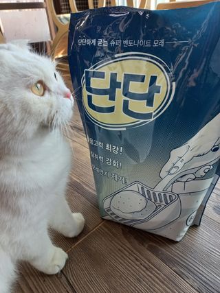 크집사의레시피 - 단단모래 — 5점을 준 리뷰어가 2021년 11월 올린 사용 사진