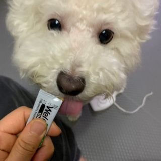 빙빙이님이 올린 리뷰 사진 2