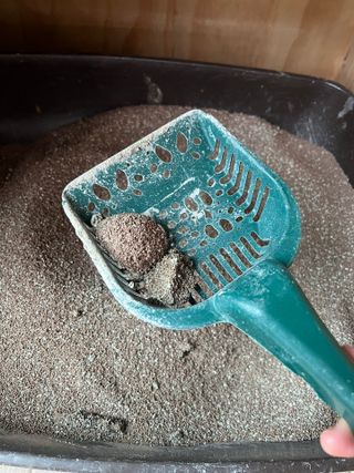 SJ님이 올린 리뷰 사진 2