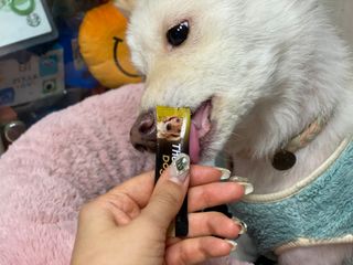 민홀리님이 올린 리뷰 사진 4