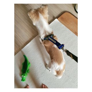 레드오렌지님이 올린 리뷰 사진 3