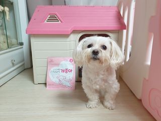 My Pet Care 천연단백질 관절건강에 개좋아 — 5점을 준 리뷰어가 2021년 1월 올린 사용 사진