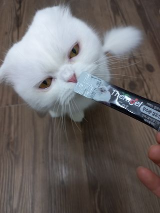 좋아님이 올린 리뷰 사진 1