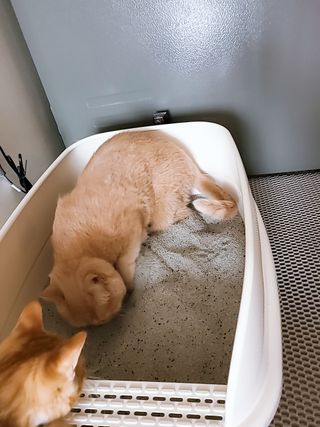 누구냐넌님이 올린 리뷰 사진 4