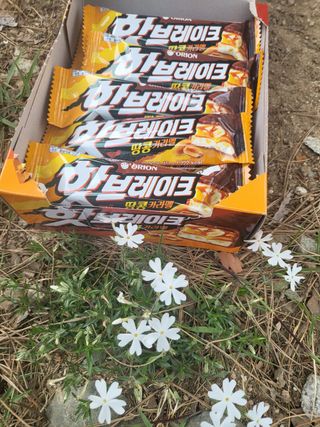 탱탱볼님이 올린 리뷰 사진 1