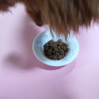 제이드님이 올린 리뷰 사진 3