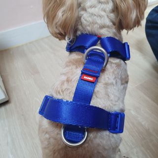 아코맘님이 올린 리뷰 사진 4