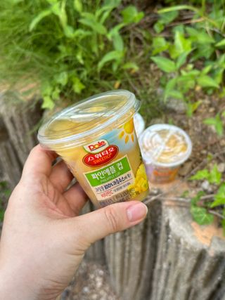 돌 MF[Dole] 파인애플컵/망고컵/복숭아컵 198g 6입X1박스 (맛 1가지 랜덤 발송) — 4점을 준 리뷰어가 2023년 6월 올린 사용 사진