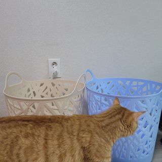 이째님이 올린 리뷰 사진 2