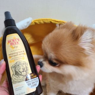 응답하라공팔님이 올린 리뷰 사진 3