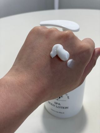 잰이님이 올린 리뷰 사진 2