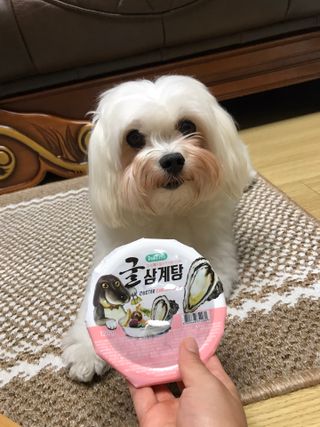 juj1230z님이 올린 리뷰 사진 1
