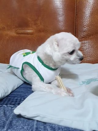 잉꾸님이 올린 리뷰 사진 1