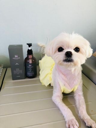 뱁새♥︎님이 올린 리뷰 사진 3