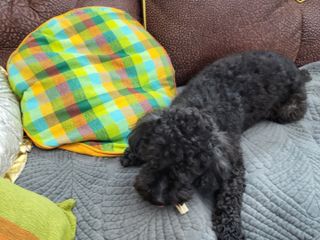 꽁아님이 올린 리뷰 사진 4