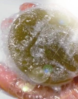 애디팬더 바이오볼 어벤져스 — 5점을 준 리뷰어가 2021년 5월 올린 사용 사진