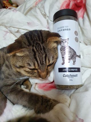 장간님이 올린 리뷰 사진 4