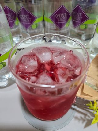 몽베스트 Montbest with Sparkling water 플레인/라임/레몬 20병(랜덤) — 5점을 준 리뷰어가 2024년 5월 올린 사용 사진
