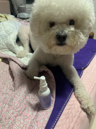 분홍봉구맘님이 올린 리뷰 사진 4