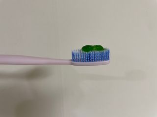 프리마인 유해균 뿐만 아니라 유익균까지 씻어내는 치약은 그만, 건강한 구강환경을 만드는 덴탈엔오 — 5점을 준 리뷰어가 2023년 3월 올린 사용 사진