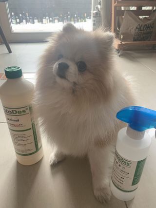 밍크마마님이 올린 리뷰 사진 1