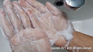 자이블 폼케이크 베이직 바질/피오니 — 5점을 준 리뷰어가 2021년 12월 올린 사용 사진