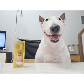 단발모리님이 올린 리뷰 사진 2